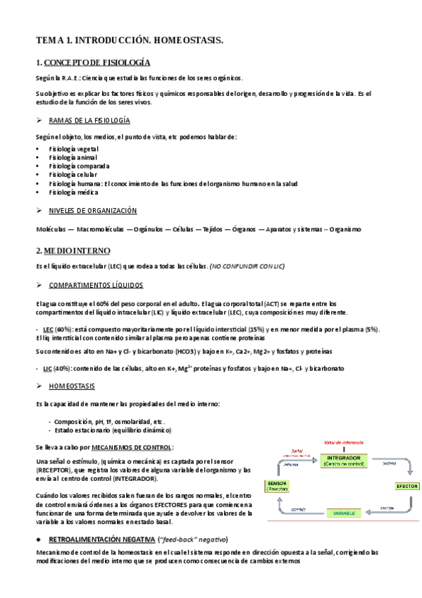 Miniatura del documento TEMA-1.pdf