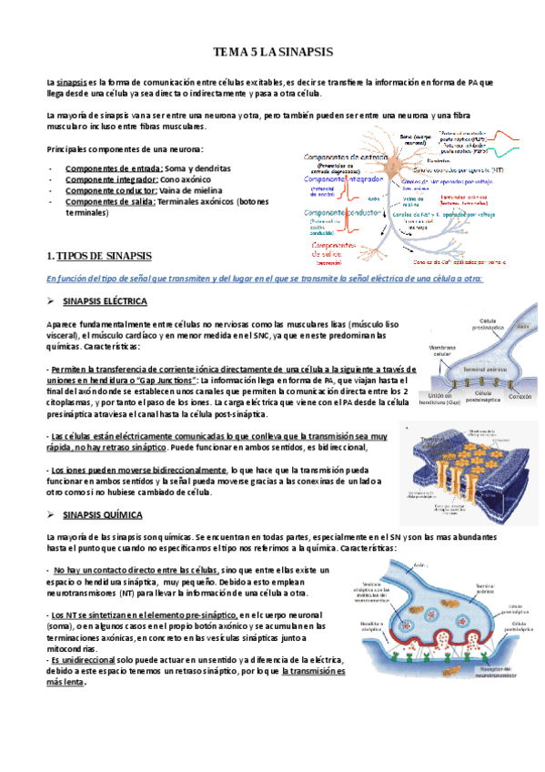 Miniatura del documento TEMA-5.pdf