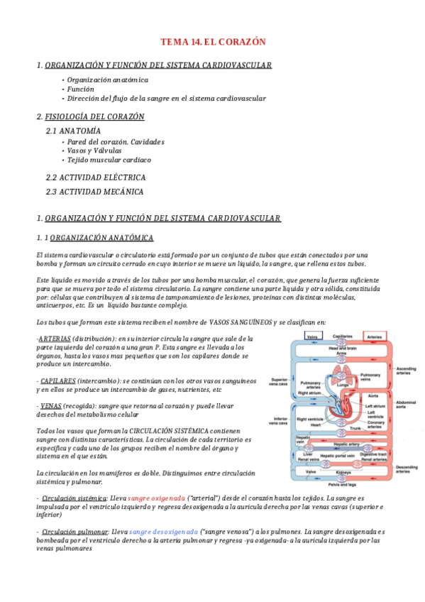 Miniatura del documento TEMA-14-Y-15.pdf