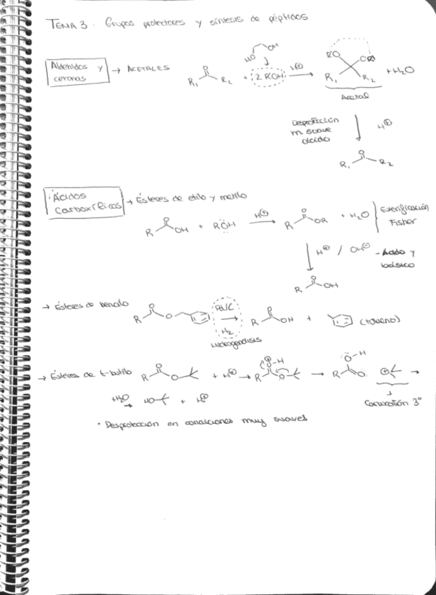 Miniatura del documento Tema-3.pdf