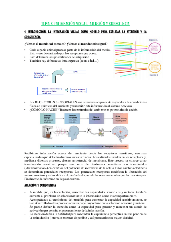 Miniatura del documento t2.pdf