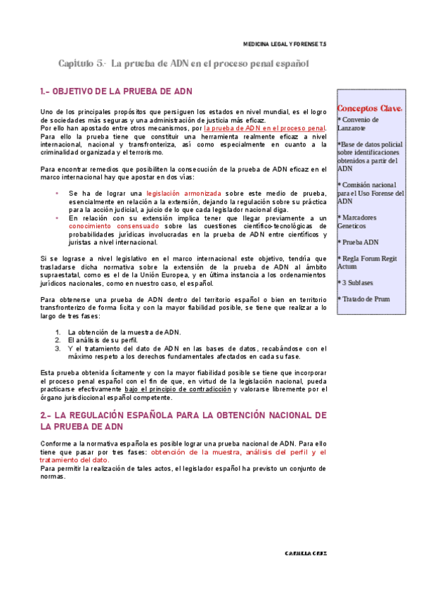 Miniatura del documento T5.pdf