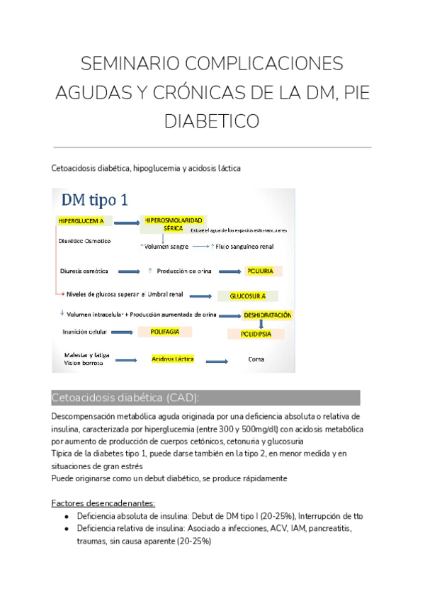 Miniatura del documento SEMINARIO-COMPLICACIONES-AGUDAS-Y-CRONICAS-DE-LA-DM-PIE-DIABETICO.pdf