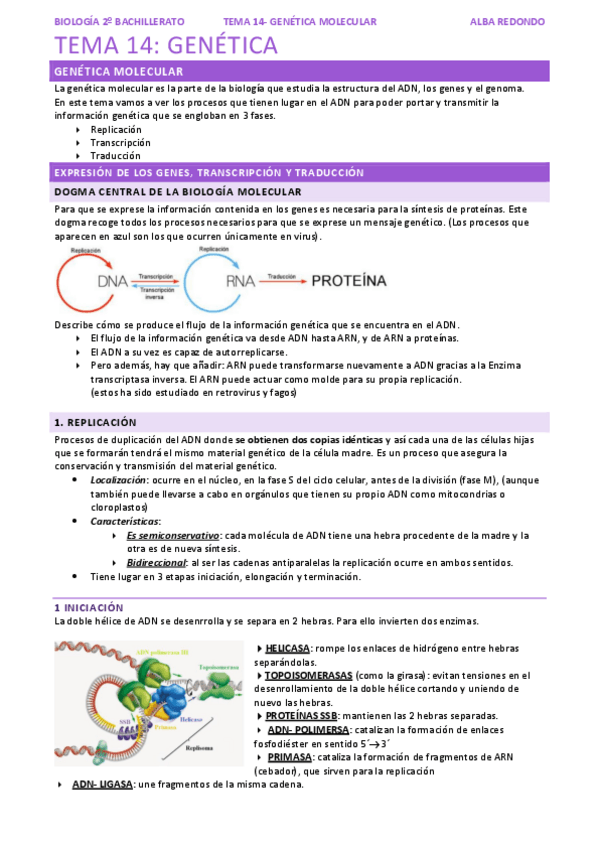 Miniatura del documento TEMA-14-GENETICA-MOLECULAR.pdf