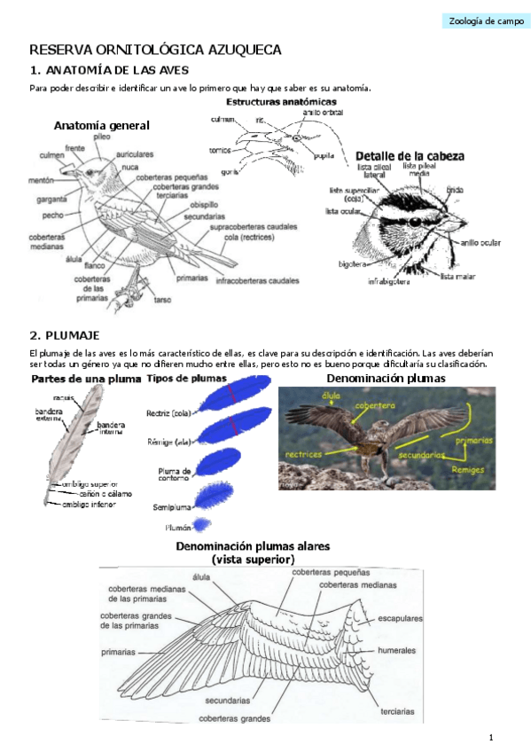 Miniatura del documento P-RESERVA-ORNITOLOGICA-AZUQUECA.pdf