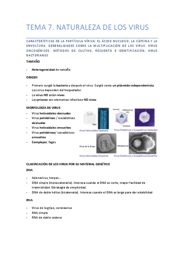 Miniatura del documento TEMS-7.pdf