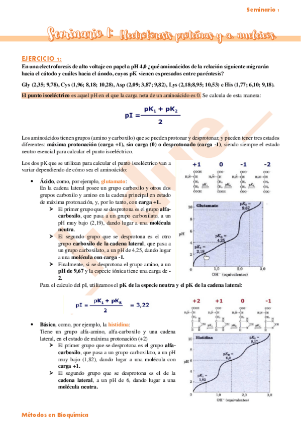 Miniatura del documento Seminario-1-Electroforesis-proteinas-y-acidos-nucleicos.pdf