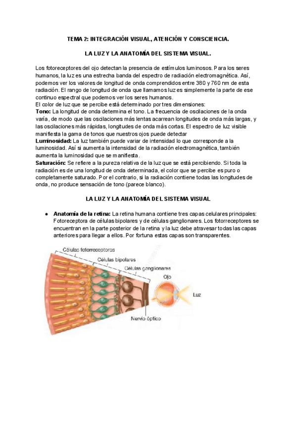 Miniatura del documento TEMA-2-INTEGRACION-VISUAL-ATENCION-Y-CONSCIENCIA.pdf