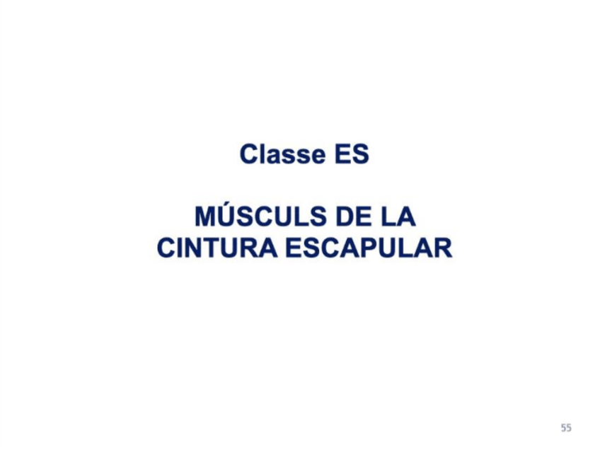 Miniatura del documento Diapositives-ALO-2.pdf