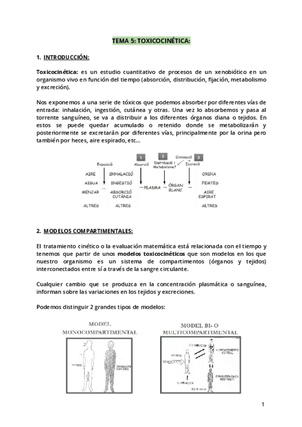 Miniatura del documento Tema-5.pdf