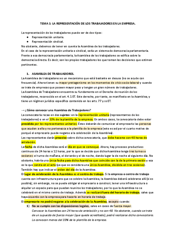 Miniatura del documento TEMA-1-LA-REPRESENTACION-DE-LOS-TRABAJADORES-EN-LA-EMPRESA.pdf