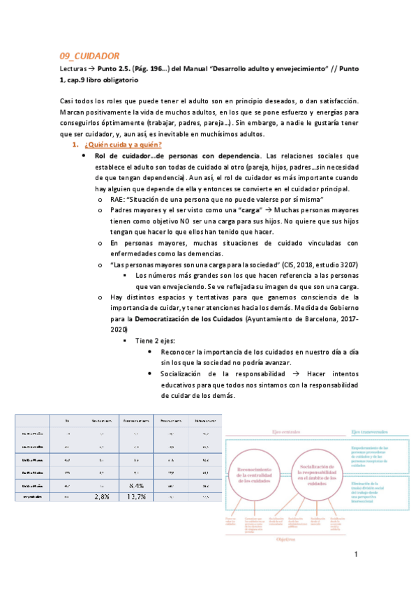 Miniatura del documento 09Cuidador.pdf