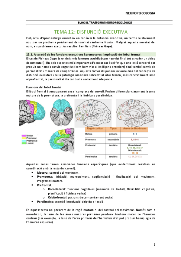 Miniatura del documento TEMA-12.pdf