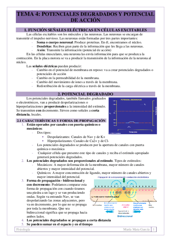 Miniatura del documento TEMA 4. Potenciales (PD y PA)