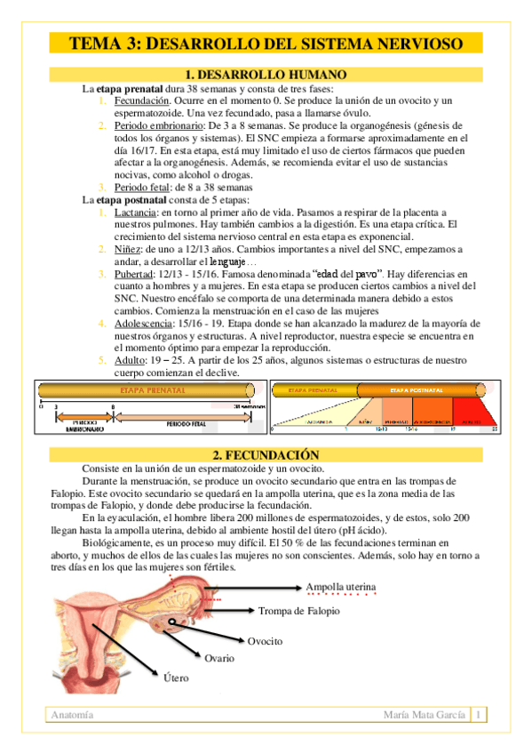 Miniatura del documento TEMA-3.pdf