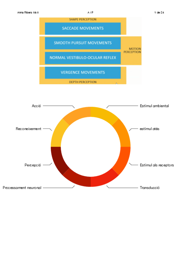 Miniatura del documento AIP.pdf