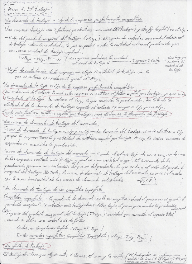 Miniatura del documento Tema-7-muy-resumido-con-conceptos-clave-de-examen.pdf