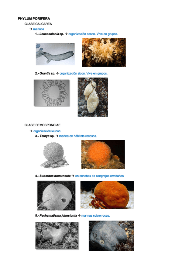 Miniatura del documento PRACTICAS-ZOO.pdf