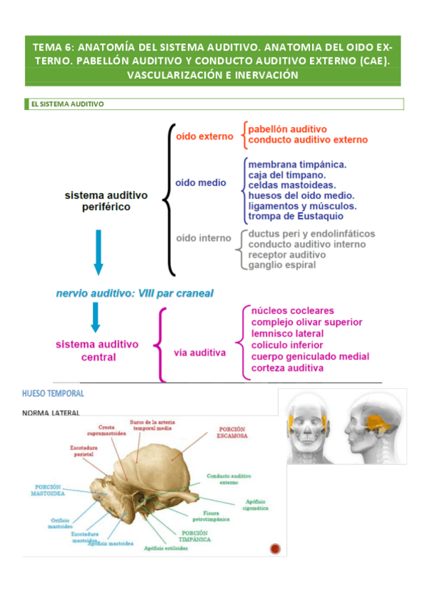 Miniatura del documento TEMA-6-.pdf