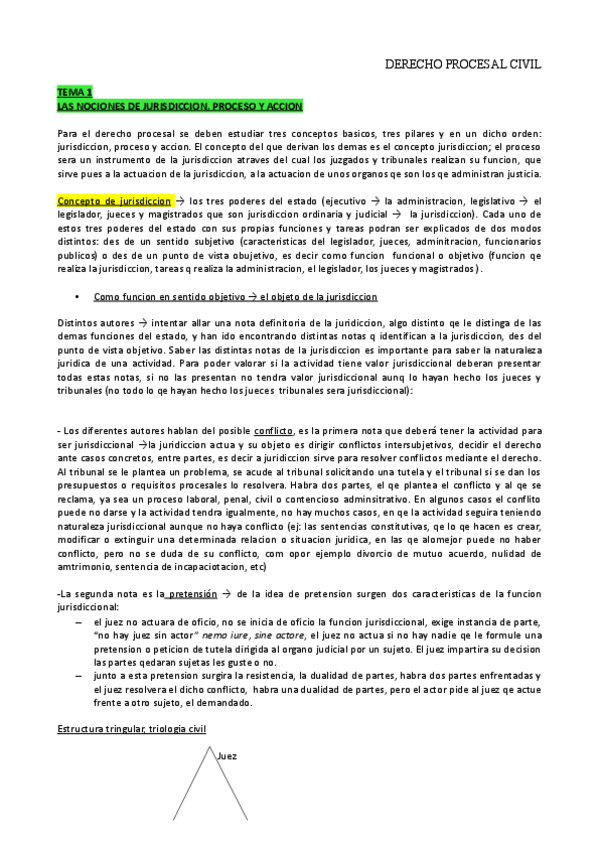 Miniatura del documento APUNTES PROCESAL.pdf