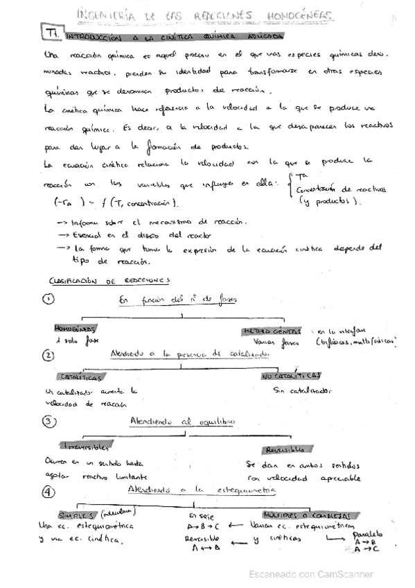 Miniatura del documento IRHO-Toda-la-teoria.pdf