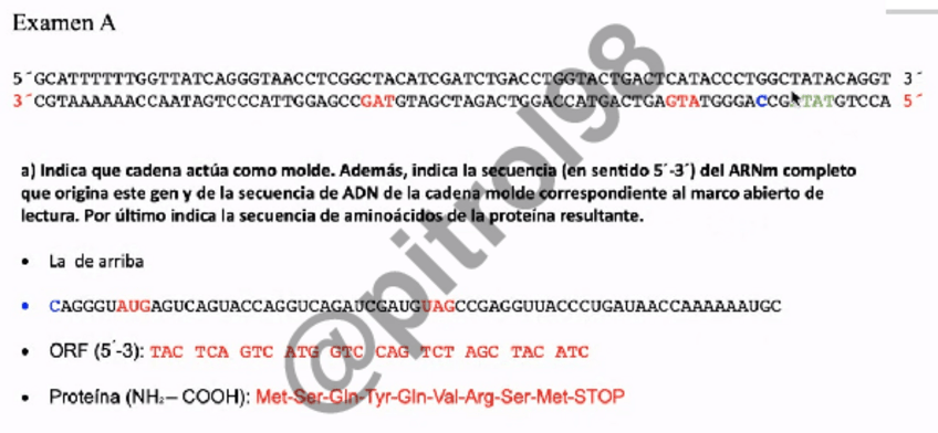 Miniatura del documento Examen-GEN-I-Feb-2021-M.pdf