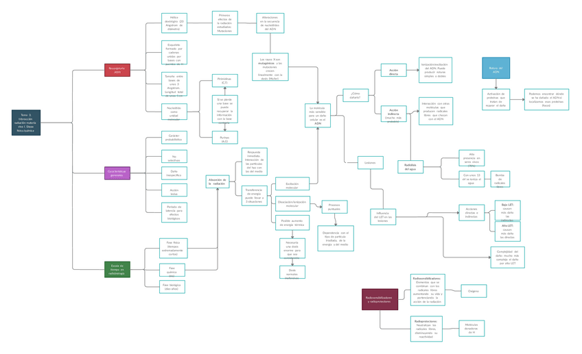 Miniatura del documento Bloque-5-Esquema-tema-3.pdf