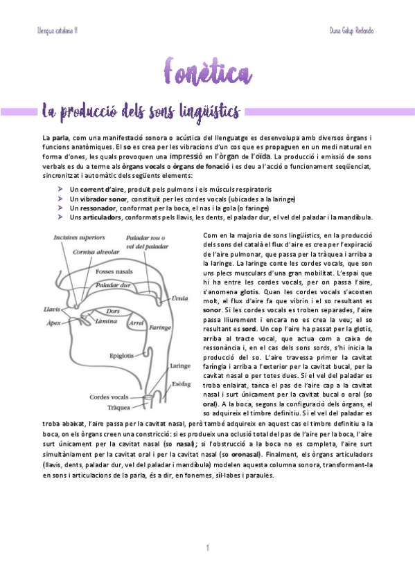 Miniatura del documento llengua-catalana-II-FONETICA.pdf