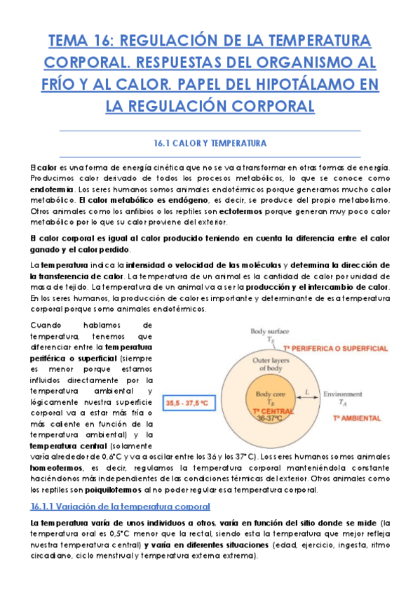 Miniatura del documento TEMA-16.pdf
