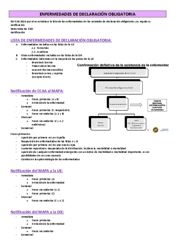Miniatura del documento ENFERMEDADES-DE-DECLARACION-OBLIGATORIA.pdf