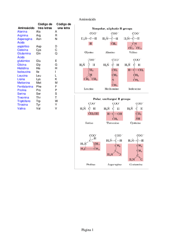 Miniatura del documento Taula-resum-de-Aminoacids.pdf