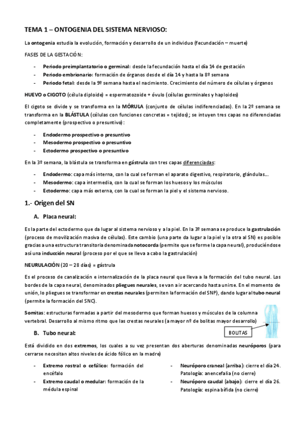 Miniatura del documento TEMA-1.pdf