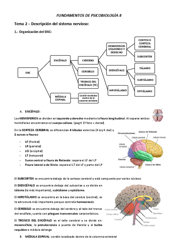 Miniatura del documento TEMA-2.pdf