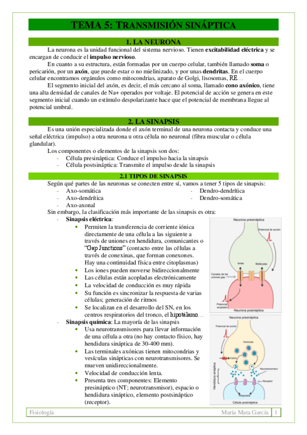 Miniatura del documento TEMA 5. Transmisión sináptica