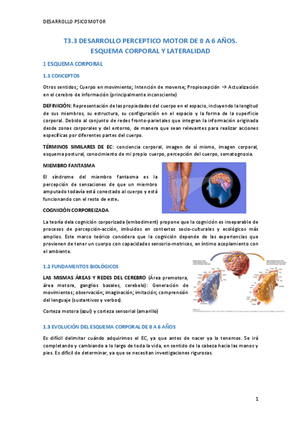 Miniatura del documento T3.pdf