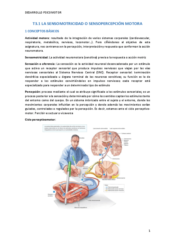 Miniatura del documento T3.pdf