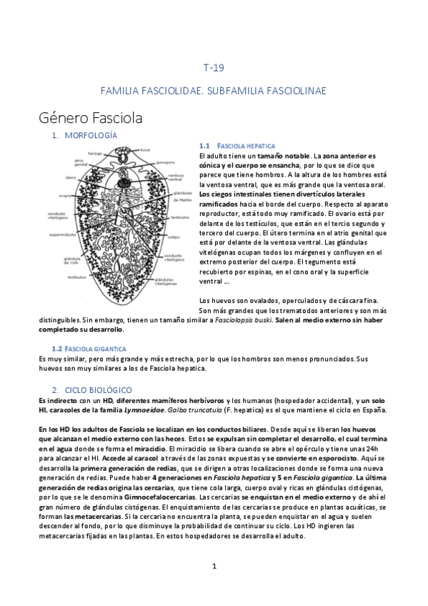 Miniatura del documento TEMA-19.pdf