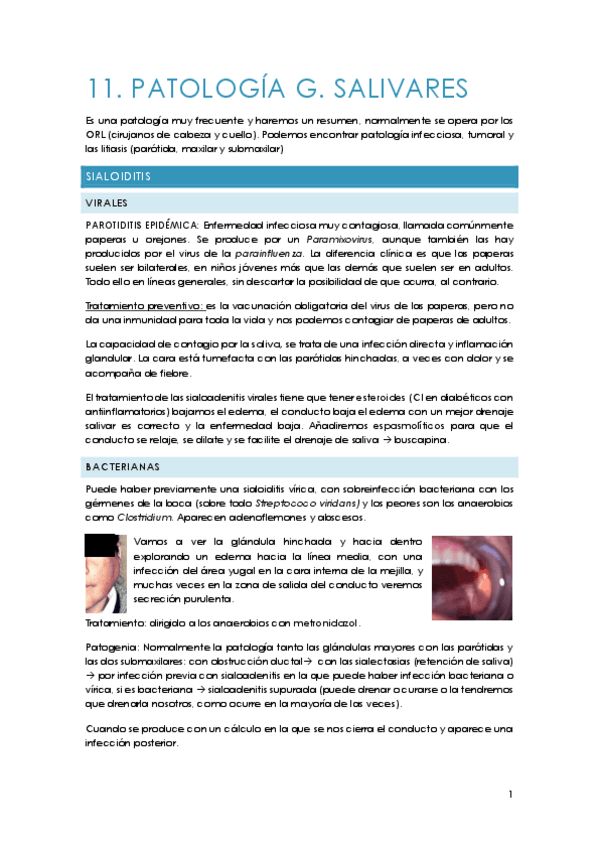 Miniatura del documento 11-Salivares.pdf