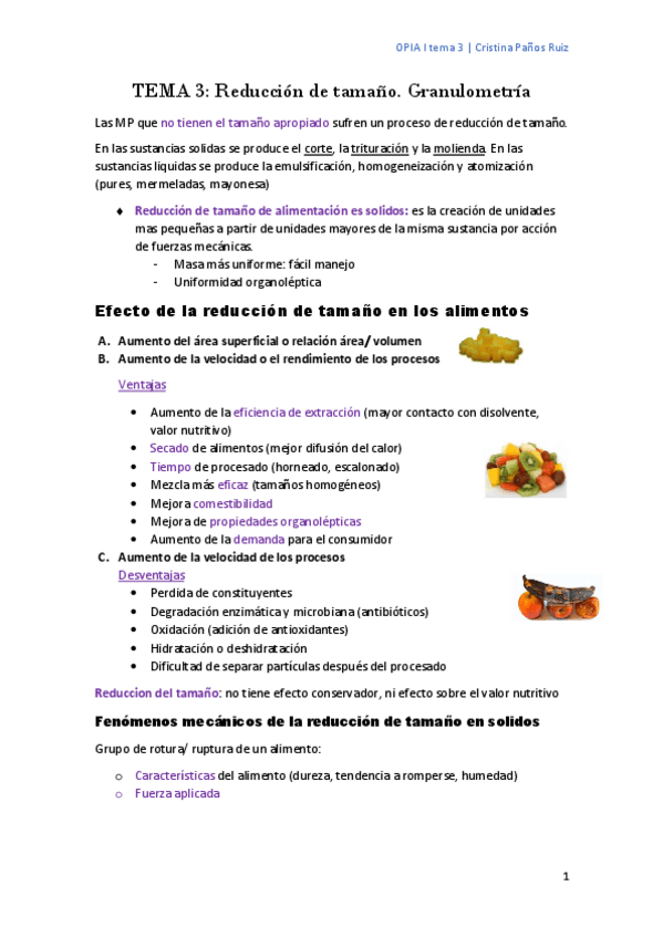 Miniatura del documento TEMA-3.pdf