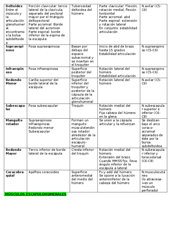 Miniatura del documento Tabla-Musculos-del-MMSS.docx