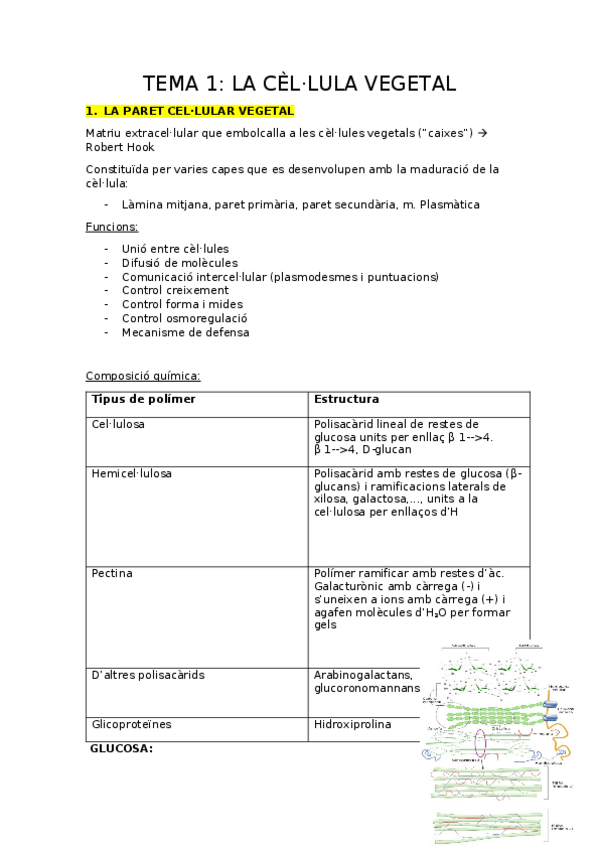 Miniatura del documento APUNTS-CITO-1.docx
