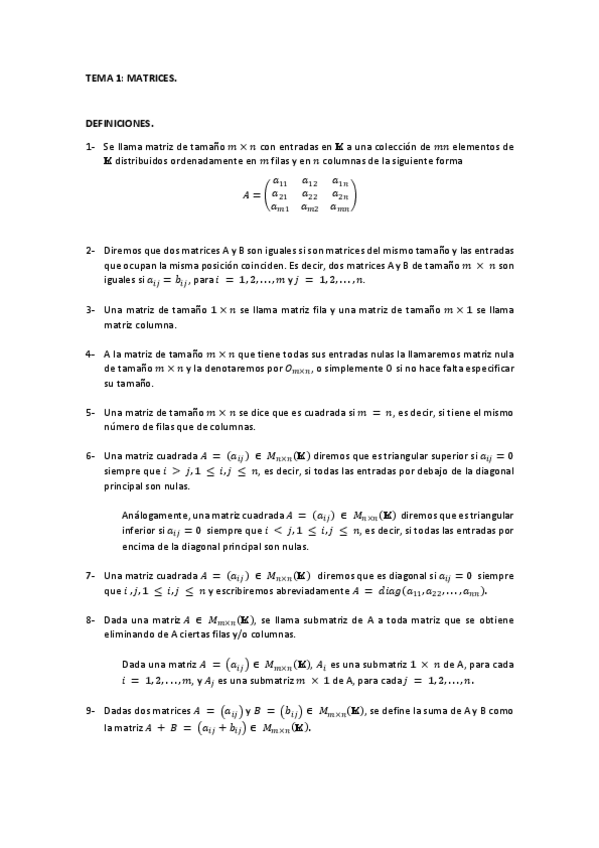 Miniatura del documento MATRICES.pdf