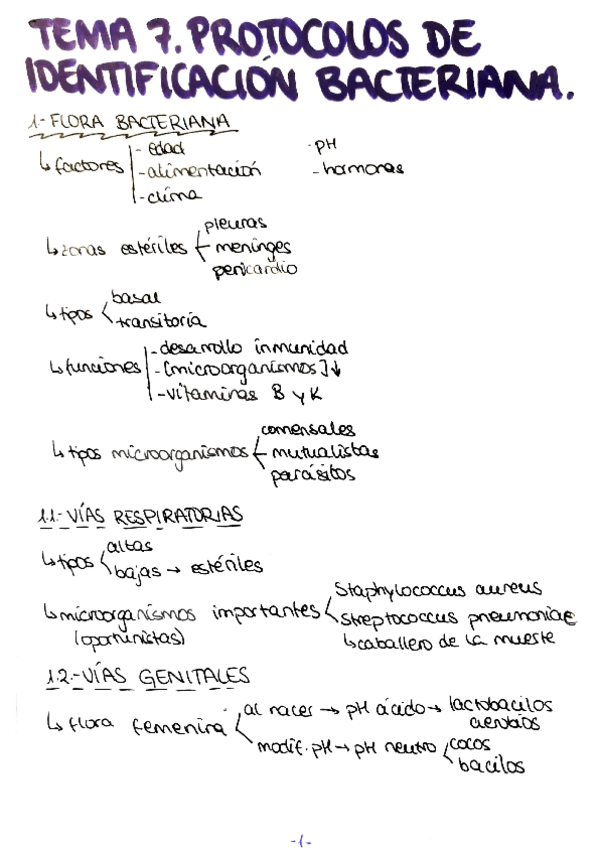 Miniatura del documento Tema-7-micro.pdf