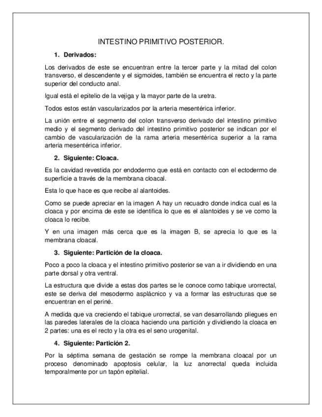 Miniatura del documento INTESTINO-PRIMITIVO-POSTERIOR.docx