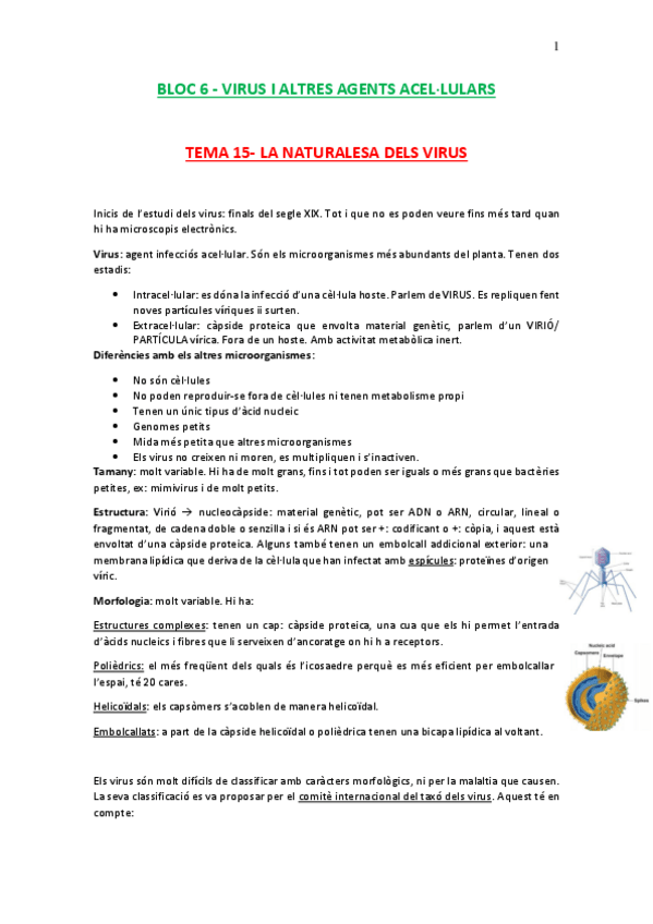 Miniatura del documento BLOC 6-virus.pdf