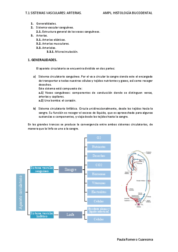 Miniatura del documento T.pdf