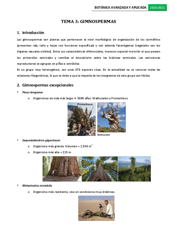 Miniatura del documento Tema-3.pdf