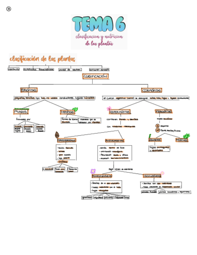 Miniatura del documento Importante.pdf