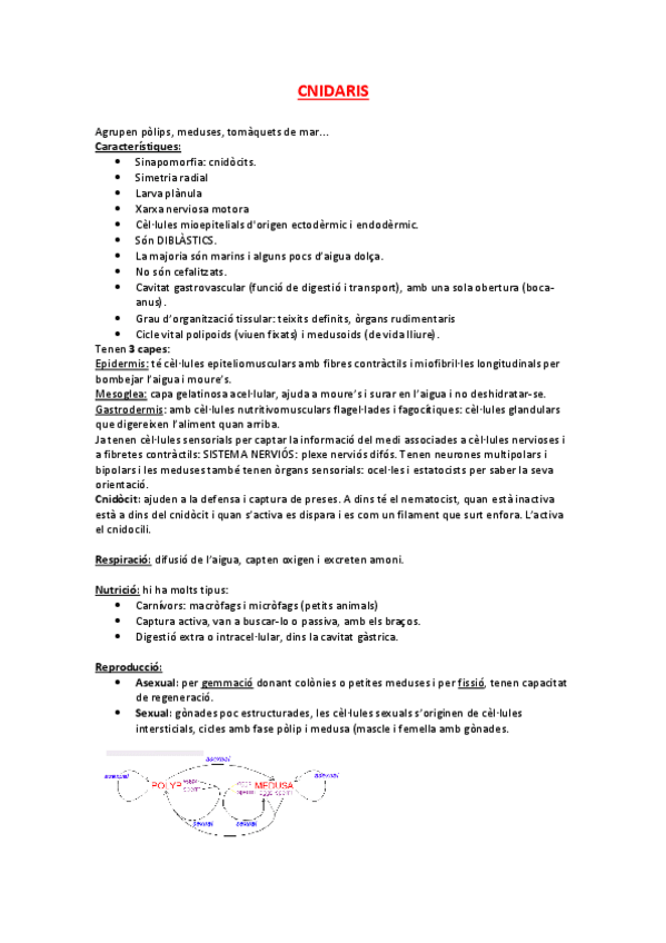 Miniatura del documento CNIDARIS.pdf