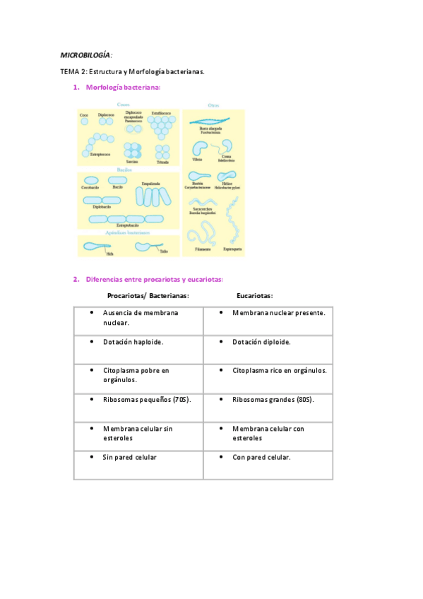 Miniatura del documento Tema-2-Microbiologia.pdf